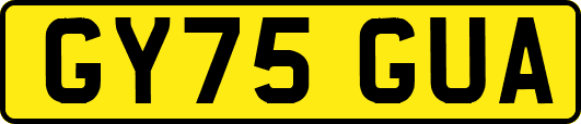 GY75GUA