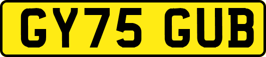 GY75GUB