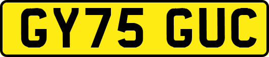 GY75GUC
