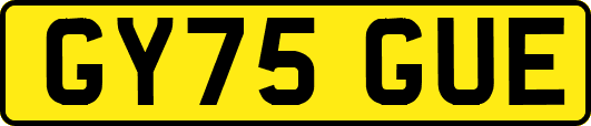 GY75GUE