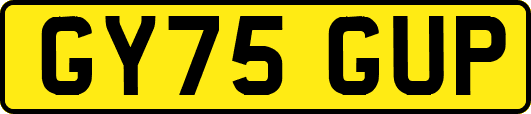 GY75GUP