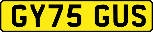 GY75GUS