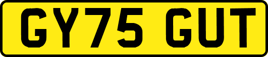 GY75GUT