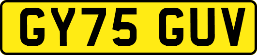 GY75GUV