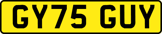 GY75GUY