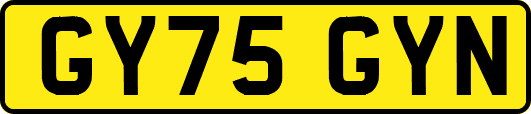 GY75GYN
