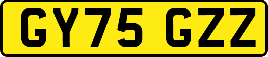 GY75GZZ