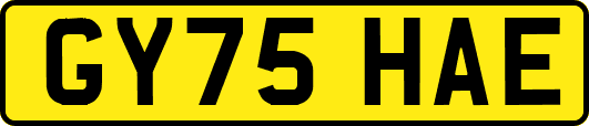 GY75HAE