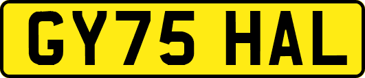 GY75HAL