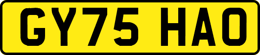 GY75HAO