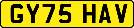 GY75HAV