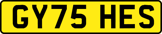GY75HES