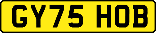 GY75HOB