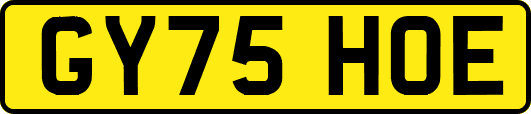 GY75HOE