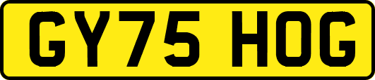 GY75HOG