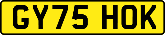 GY75HOK