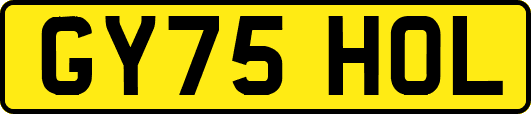 GY75HOL