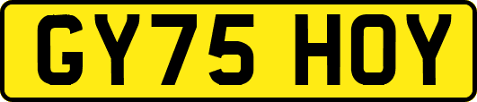 GY75HOY