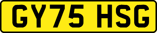 GY75HSG