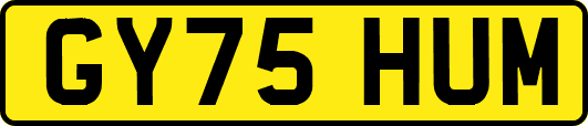 GY75HUM
