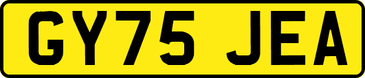 GY75JEA