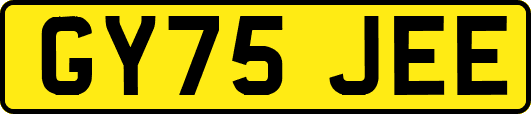 GY75JEE