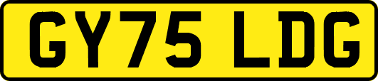 GY75LDG