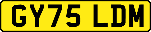 GY75LDM