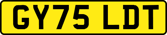 GY75LDT