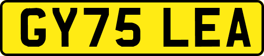 GY75LEA