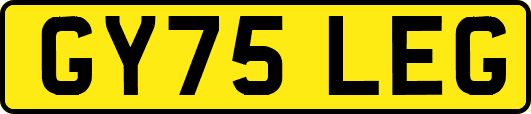 GY75LEG
