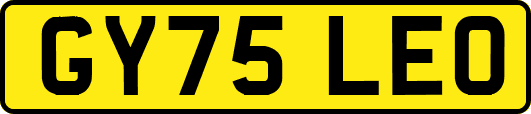 GY75LEO