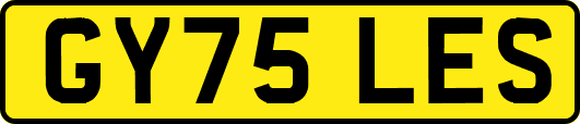GY75LES