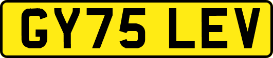 GY75LEV