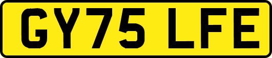 GY75LFE