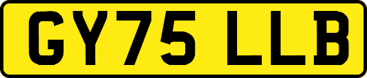 GY75LLB