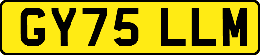 GY75LLM