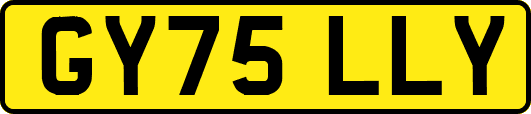 GY75LLY