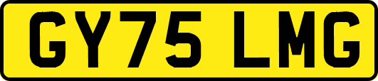 GY75LMG