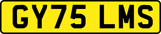 GY75LMS