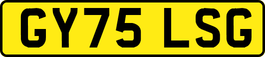GY75LSG