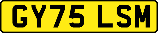 GY75LSM