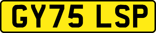 GY75LSP