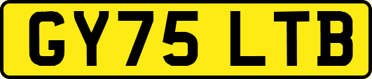 GY75LTB