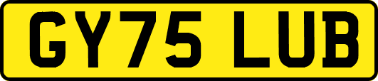 GY75LUB