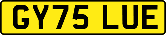 GY75LUE