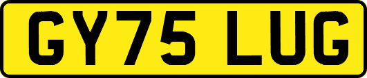 GY75LUG