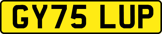 GY75LUP