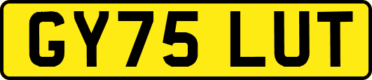 GY75LUT
