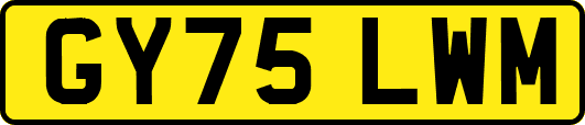 GY75LWM